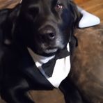 Hunter Burris - Facebook