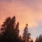 hunter byrum - @hunter_byrum14 - Instagram