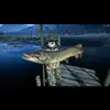 hunter call of angler/wild - @hunter.call.of.an - TikTok