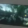 hunter call of the wild - @hunter.call.of.th84 - TikTok
