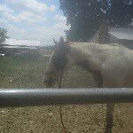hunter callahan - @huntercallahan35 - Instagram