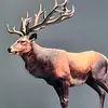 huntercall - @huntercall49 - TikTok