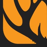 Official Deer - @_hunter_call_the_player - Instagram