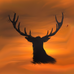 The hunter: Call of the wild Polska - Facebook