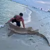 The Hunter 🦈 - @huntercallender15 - TikTok