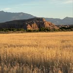 Hunter - @_hunter_campbell3 - Instagram