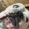 Hunter camp - @hunter.camp94 - TikTok