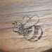 Hunter Carpenter Bee - Facebook