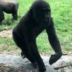 Hunter Carroll - @huntercarroll944 - Instagram