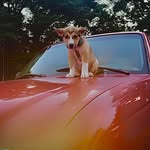 Caleb Casper - @hunter_casper2313 - Instagram