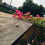 Clancy - @_clancy_hunter.1cb.__ - Instagram