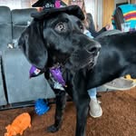 Hunter Clements - @hunterclements10 - Instagram