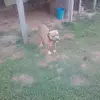 huntercolvin371 - @huntercolvin371 - TikTok