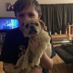 Hunter Comstock - @comstock_hunter - Instagram