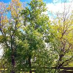 hunter comstock - @huntercomstock23 - Instagram