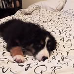 Hunter Cooper - @aussie.hunter.cooper - Instagram