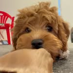 Hunter - @hunter.corbett01010 - Instagram