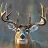 hunter cox - @hunter_cox - TikTok