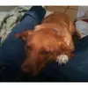 Hunter Cox - @hunter.cox16 - TikTok