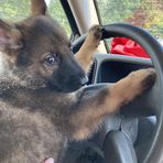 Hunter Curran - Facebook