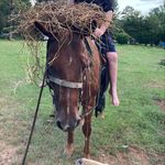 Hunter Curran - @hunte_rcurran0610 - Instagram