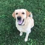 Hunter Dailey - Facebook