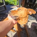 Hunter Davis - @hunter__davis_ - Instagram