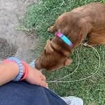 Hunter Denton - @zooted4life21 - Instagram