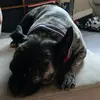 Hunter Denton - @hunter.denton5 - TikTok