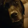 Hunter Denton  - @hunter_denton - TikTok
