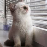 Hunter Douglas - @hunterdouglas_tw - Instagram