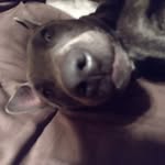 Hunter Dowdy - @dowdy_hunter - Instagram