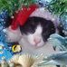 Hunter Duckworth - Facebook