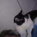 Hunter Duckworth - Facebook