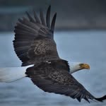 Hunter Dye - @hunter_dye43 - Instagram