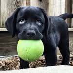 Hunter Dye - @hunterdye33 - Instagram