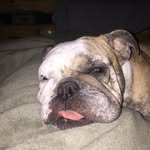 Hunter Dye - @huntman52 - Instagram