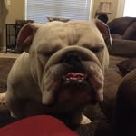 Hunter Dye - @dye_hunter - Instagram