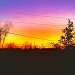 Hunter ervin - @hunt.beardog - Instagram