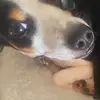 Hunter Ervin - @hunter.ervin6 - TikTok