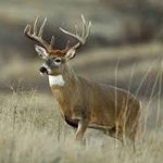 Hunter Ervin - @hunterdale06 - Instagram