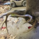Hunter Farley - @hunting_for_life0904 - Instagram