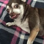 Hunter Fields - @hunter.fields.146 - Instagram