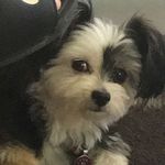 @hunterflick2006 - Instagram