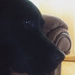 Hunter Forrest - @hunterforrest69 - Instagram