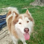 Hunter Forrest - @hunterforrest3 - Instagram