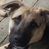 Hunter Forrest - @hunter.forrest0 - TikTok