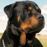Hunter Forrester - @forresterhunter - Instagram