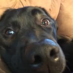 Sean - @hunterforrest_2 - Instagram