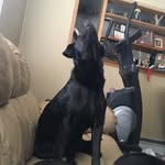 Hunter Francis - @alrighty_whitey - Instagram